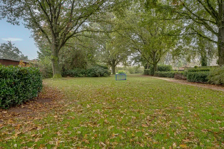 Foto 45 van de Lijsterbes 86