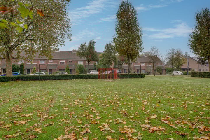 Foto 46 van de Lijsterbes 86