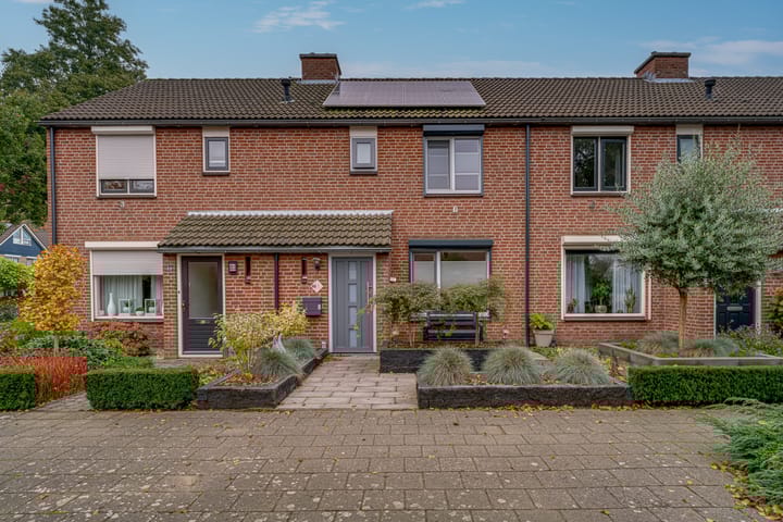 Foto 47 van de Lijsterbes 86