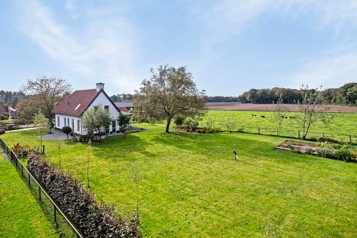 Foto 10 van Koestraat 28