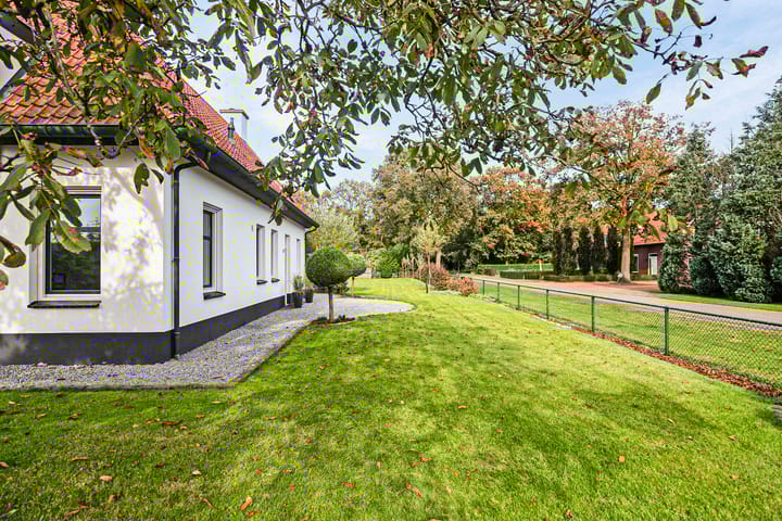 Foto 50 van Koestraat 28