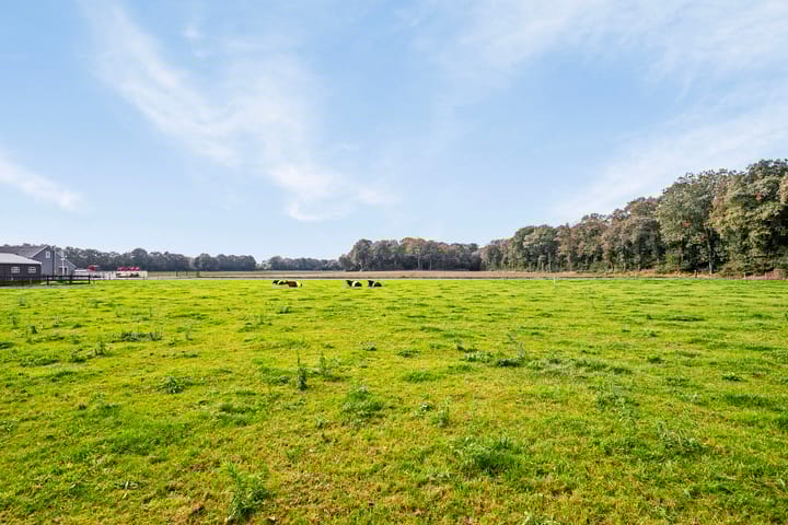 Foto 67 van Koestraat 28