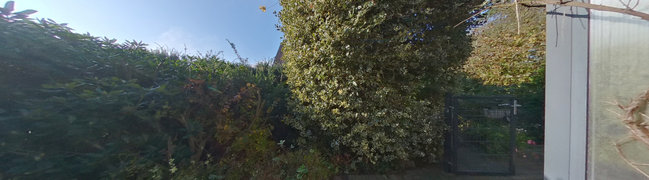 View 360° photo of Voortuin of Laarwaldstrasse 13