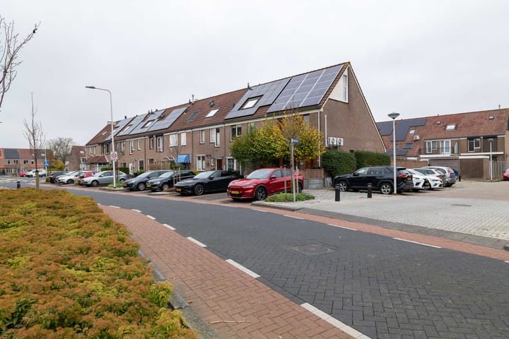 Foto 38 van Buntgras 145