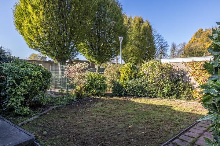 Foto 3 van Monesveld 13