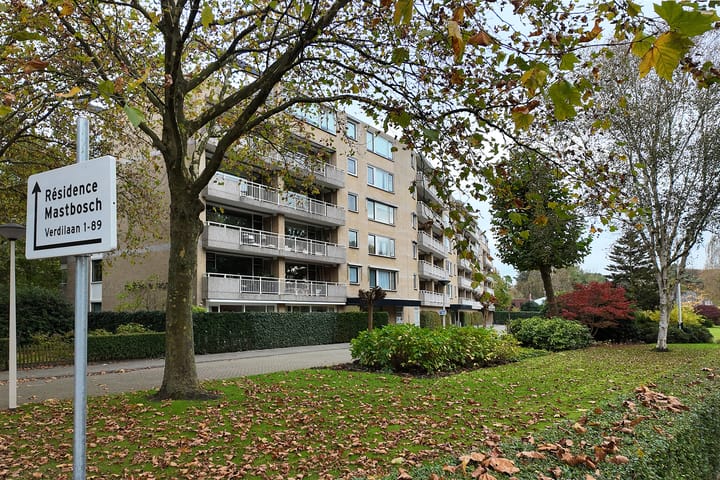 Foto 42 van Verdilaan 77