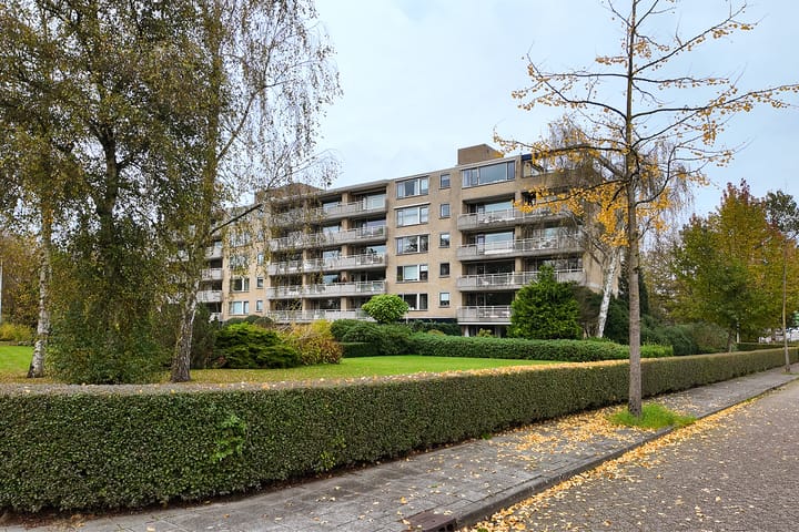 Foto 45 van Verdilaan 77