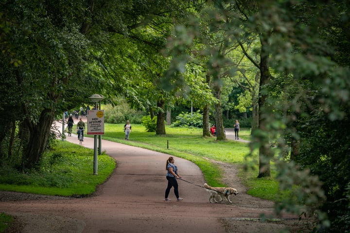 Bekijk foto 31 van Hoofdweg 266-2