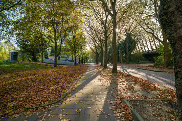 Foto 25 van Nachtwachtlaan 196