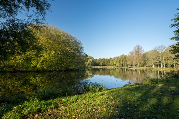 Foto 27 van Nachtwachtlaan 196