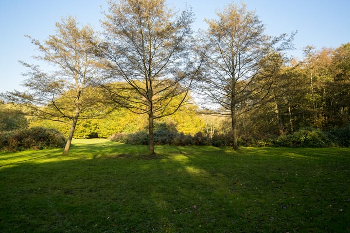 Foto 28 van Nachtwachtlaan 196