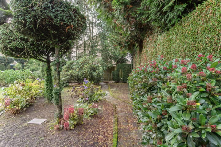 Foto 82 van De Scheerman 10