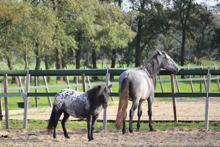 Foto 3 van Keverdijk 16