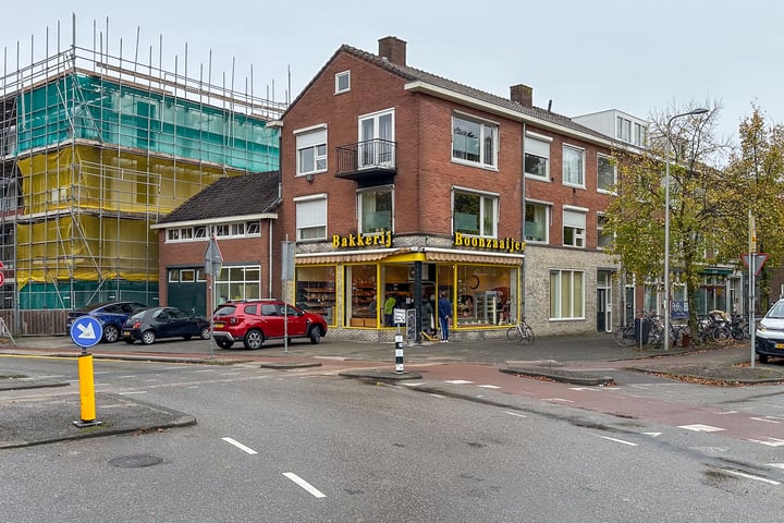 Bekijk foto 47 van Tomaatstraat 25