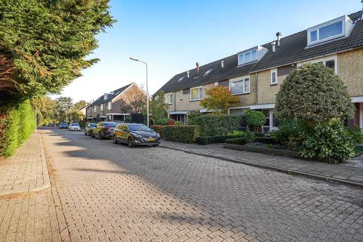 Foto 36 van Rozemarijn 175