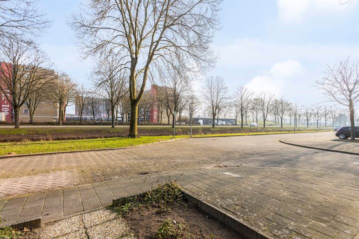 View photo 22 of Albert Plesmansingel 19