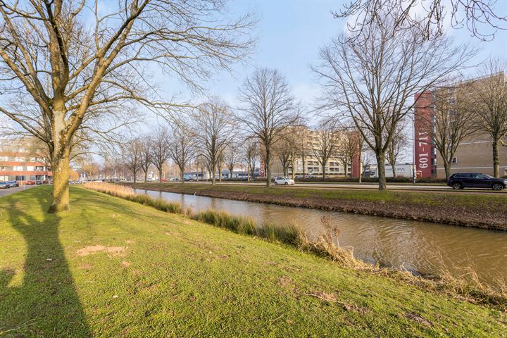 View photo 23 of Albert Plesmansingel 19