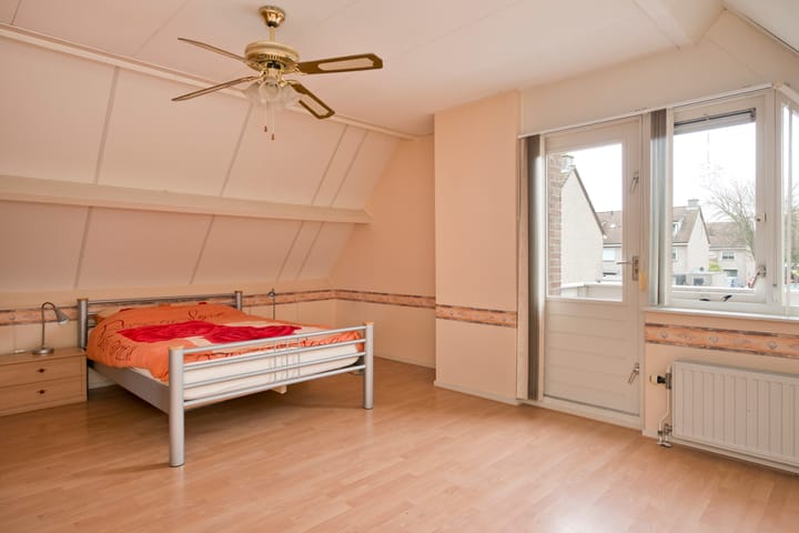 Foto 31 van IJsbout 25