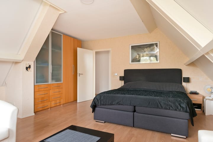 Foto 42 van IJsbout 25