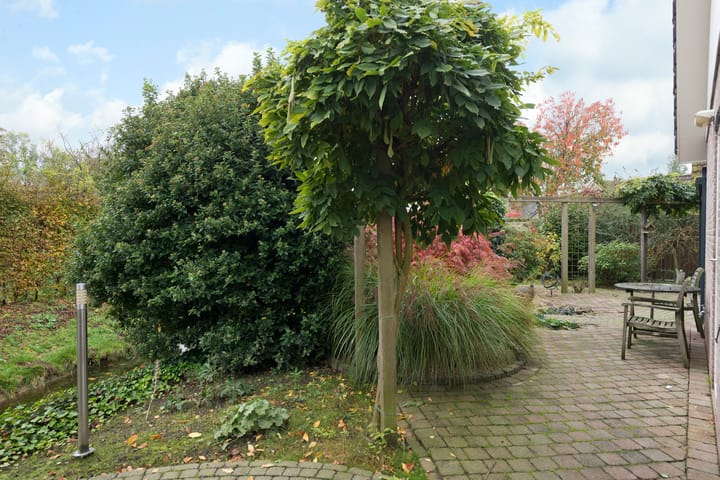 Foto 53 van IJsbout 25