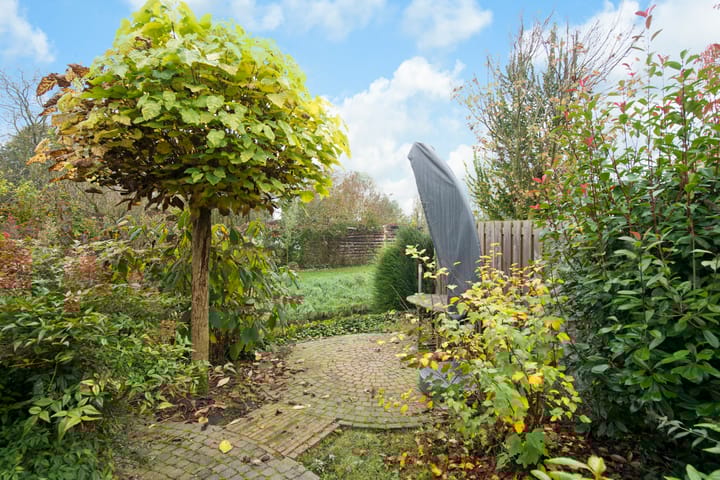 Foto 54 van IJsbout 25