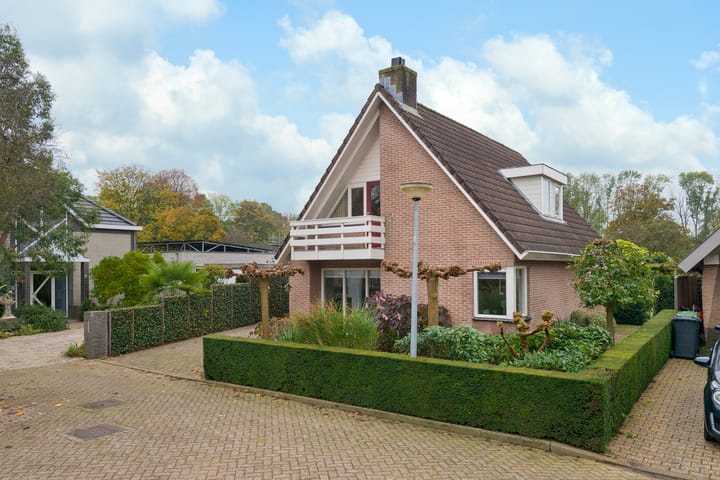 Foto 60 van IJsbout 25