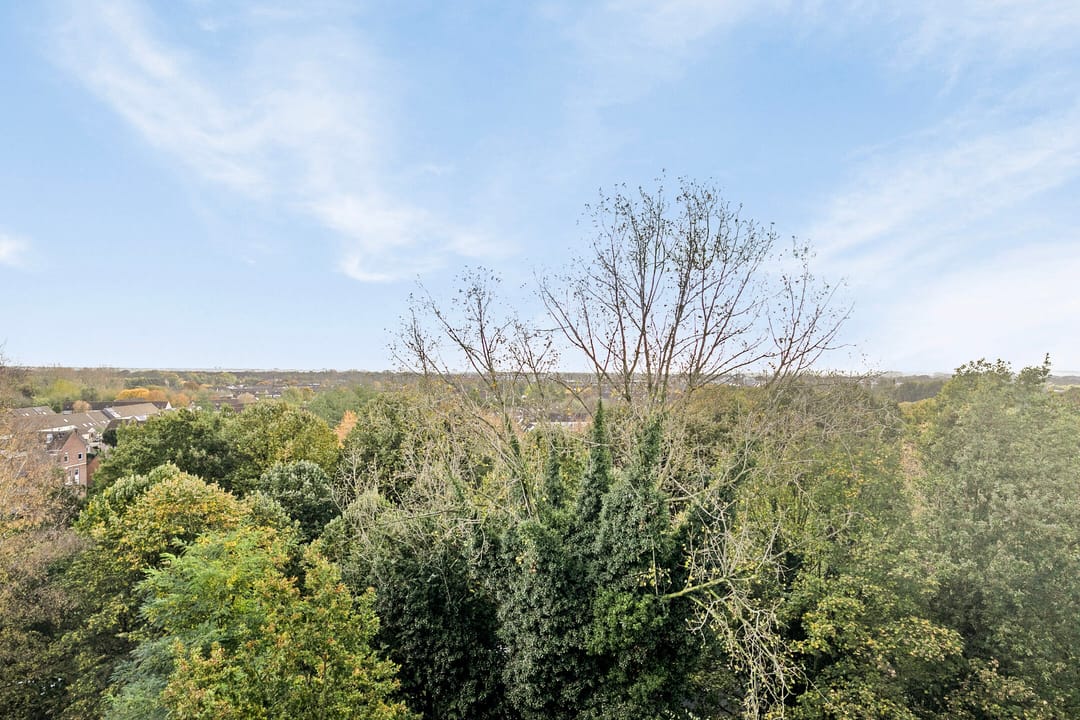 Foto 22 van Van der Hagenstraat 933