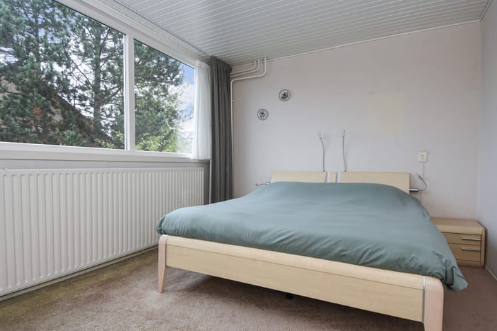 Foto 27 van Vuurdoorn 10