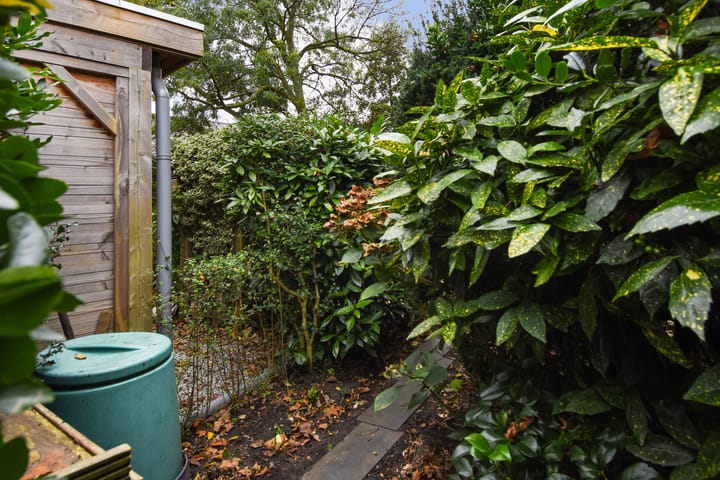 Foto 45 van Vuurdoorn 10