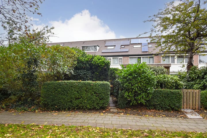 Foto 48 van Vuurdoorn 10