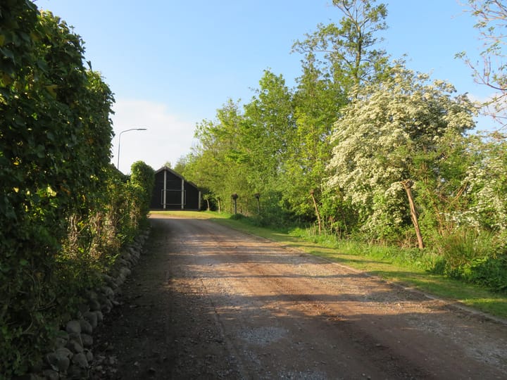 Foto 31 van Foarwei 180