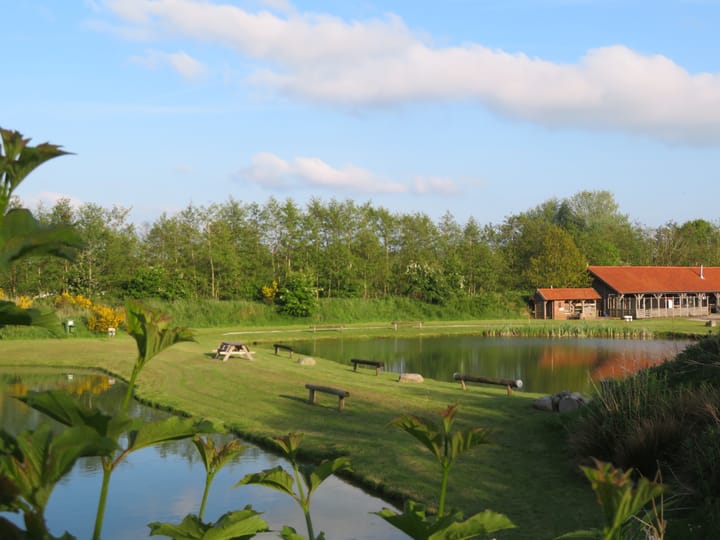 Foto 40 van Foarwei 180