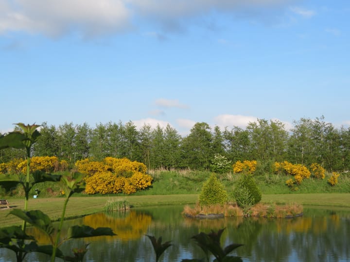 Foto 42 van Foarwei 180