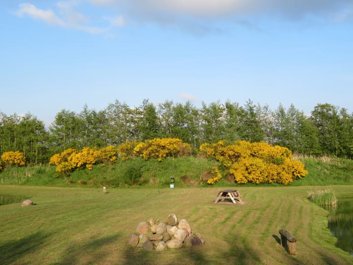 Foto 43 van Foarwei 180