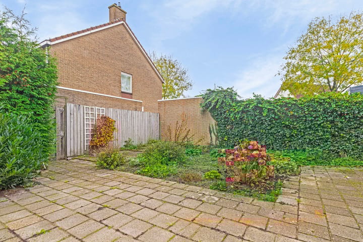 Foto 34 van de Reling 9