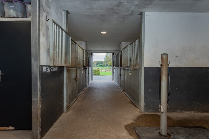 Foto 50 van Schipsweg 17