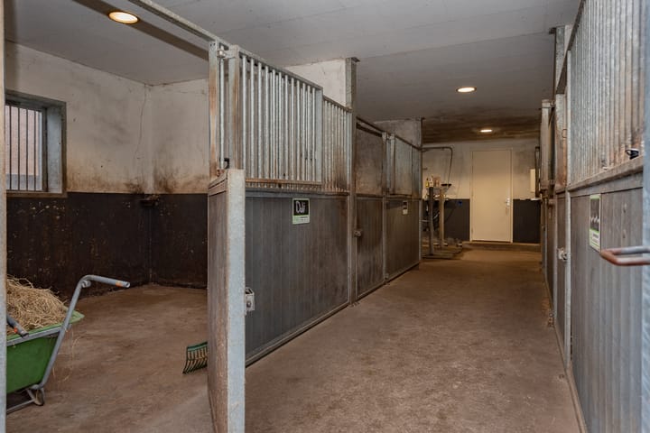 Foto 52 van Schipsweg 17