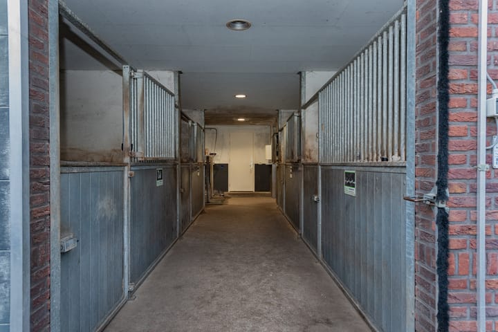 Foto 53 van Schipsweg 17