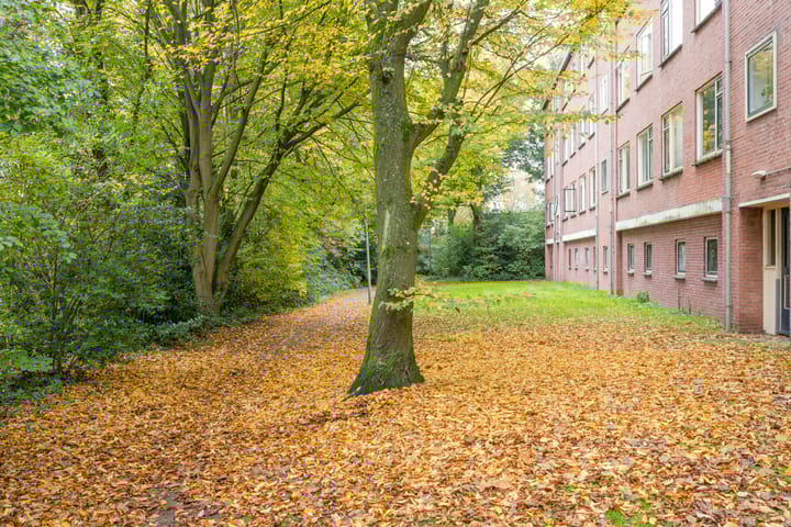 Photo 27 of Wittenburg 15