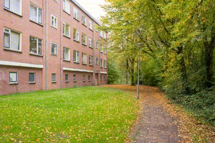 Photo 28 of Wittenburg 15