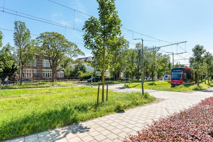 Foto 47 van Nieuwe Parklaan 36
