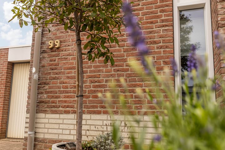 Foto 8 van Kapelaan Wijnensingel 99