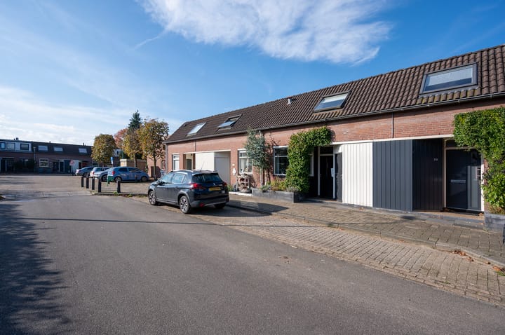 Foto 5 van Kamelenspoor 213