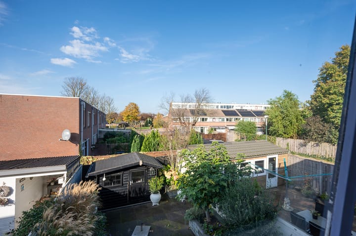 Foto 23 van Kamelenspoor 213