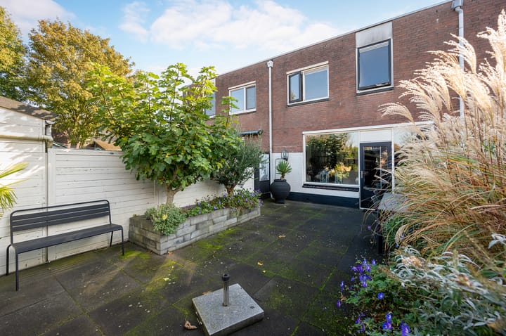 Foto 24 van Kamelenspoor 213