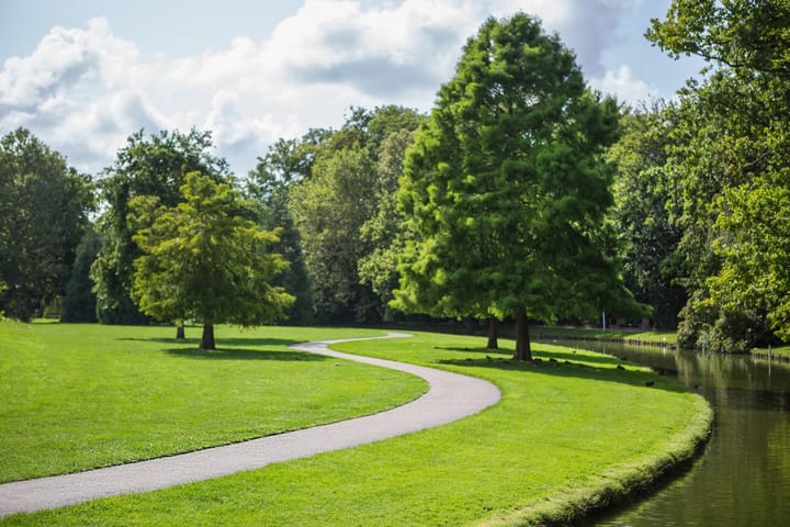 Foto 37 van Parklaan 118