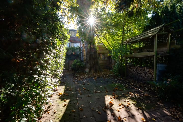 Foto 40 van Van Baerlestraat 50