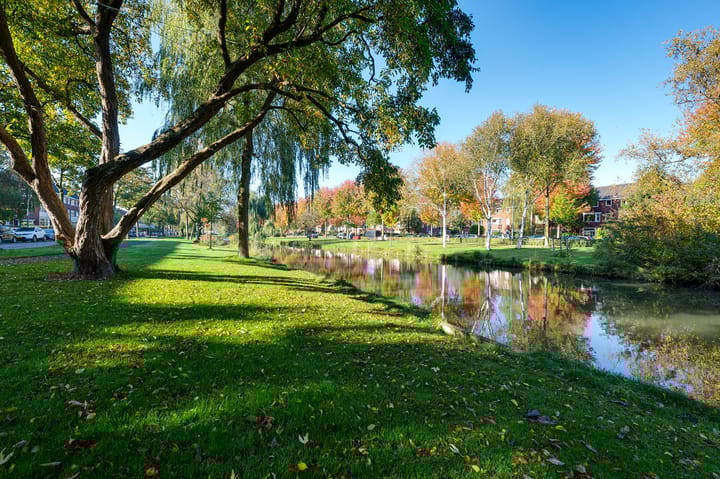 Foto 43 van Van Baerlestraat 50