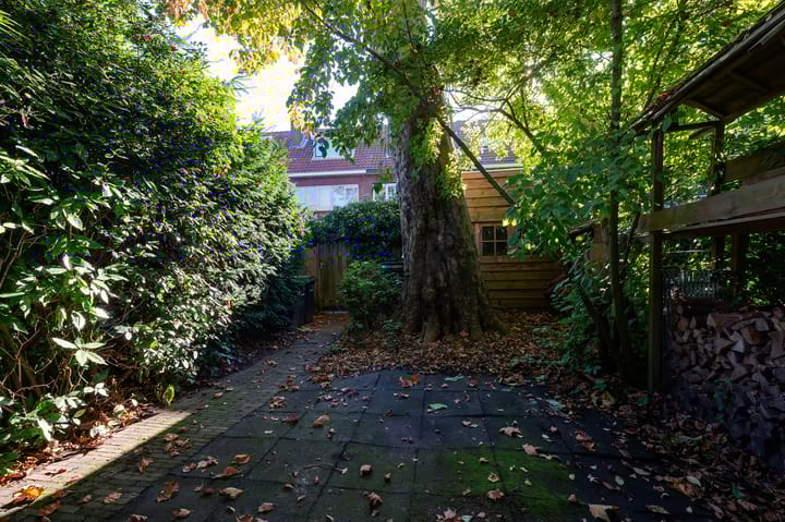 Foto 44 van Van Baerlestraat 50