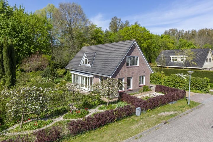 Foto 50 van Schaakveld 10